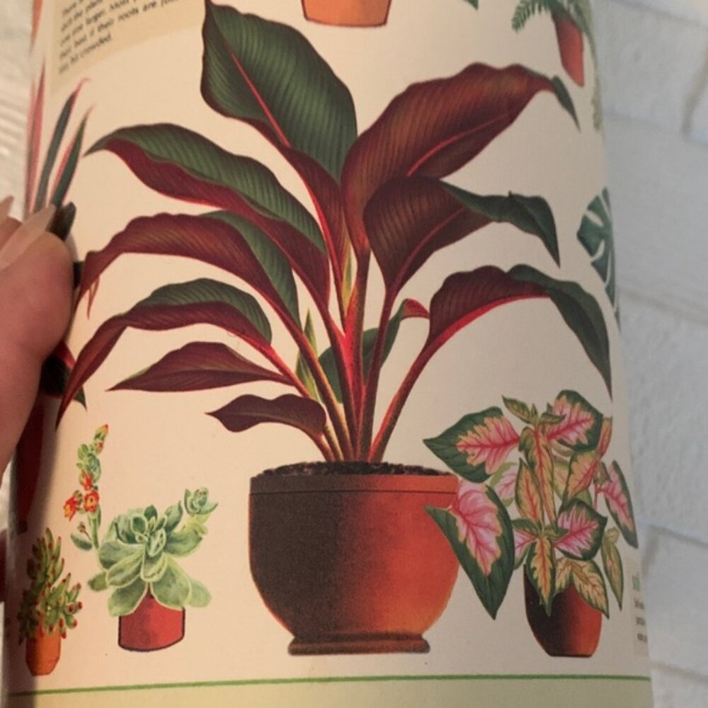 Cavallini &amp; Co. Vintage House Plants Puzzle - Green - Picture 8 of 9